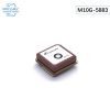 GPS-con-Compass-M10G